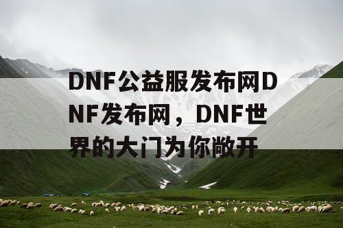 DNF公益服发布网DNF发布网，DNF世界的大门为你敞开