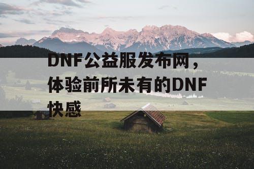 DNF公益服发布网，体验前所未有的DNF快感