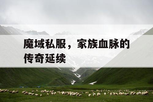魔域私服,家族血脉的传奇延续 魔域私服,家族血脉的传奇延续