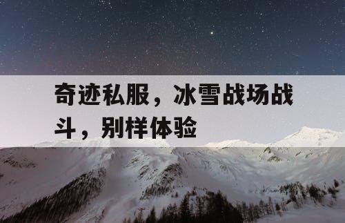 奇迹私服,冰雪战场战斗,别样体验 奇迹私服,冰雪战场战斗,别样体验