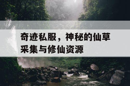 奇迹私服，神秘的仙草采集与修仙资源