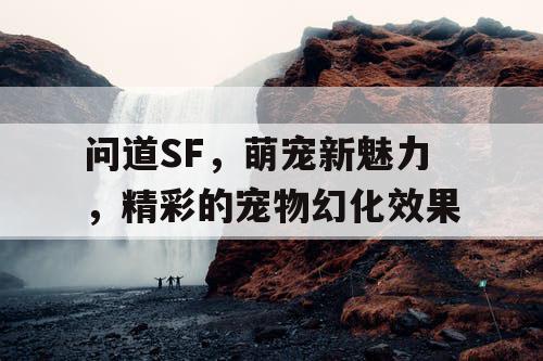 问道SF，萌宠新魅力，精彩的宠物幻化效果