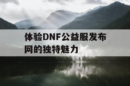 体验DNF公益服发布网的独特魅力