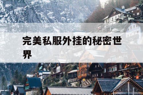 完美私服外挂的秘密世界
