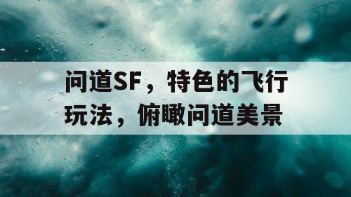 问道SF，特色的飞行玩法，俯瞰问道美景