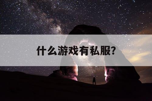 什么游戏有私服？