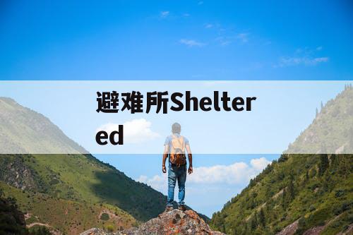避难所Sheltered 避难所Sheltered
