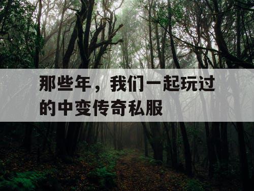 那些年，我们一起玩过的中变传奇私服