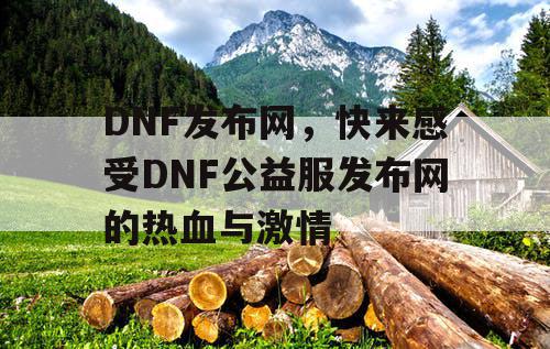 DNF发布网,快来感受DNF公益服发布网的热血与激情 DNF发布网,快来感受DNF公益服发布网的热血与激情