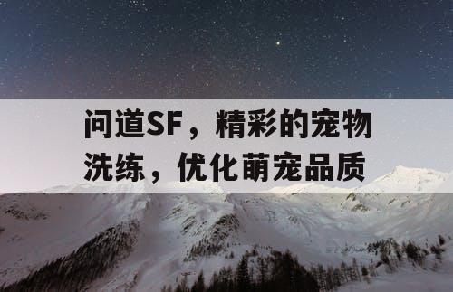 问道SF，精彩的宠物洗练，优化萌宠品质