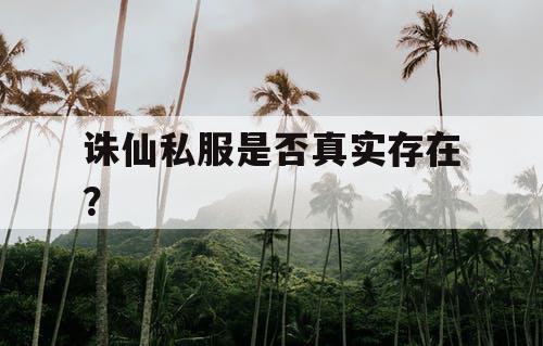 诛仙私服是否真实存在？