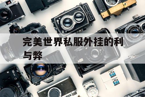 完美世界私服外挂的利与弊
