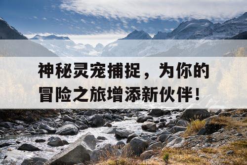 神秘灵宠捕捉，为你的冒险之旅增添新伙伴！