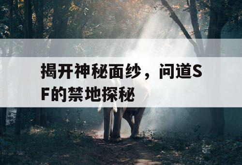 揭开神秘面纱，问道SF的禁地探秘
