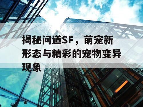 揭秘问道SF，萌宠新形态与精彩的宠物变异现象