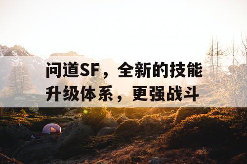 问道SF，全新的技能升级体系，更强战斗