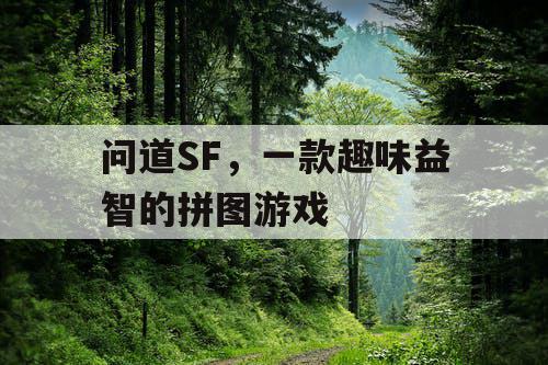 问道SF，一款趣味益智的拼图游戏