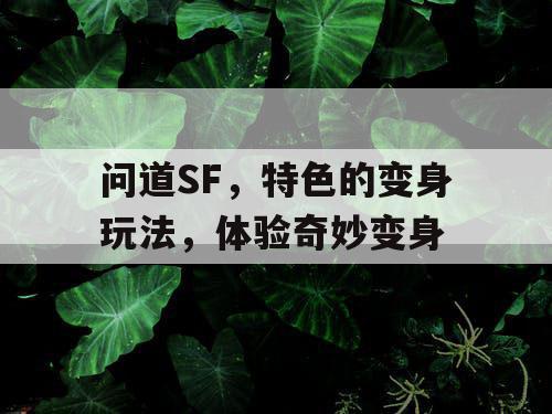 问道SF，特色的变身玩法，体验奇妙变身