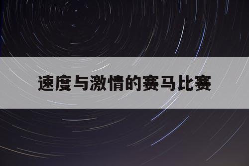 速度与激情的赛马比赛