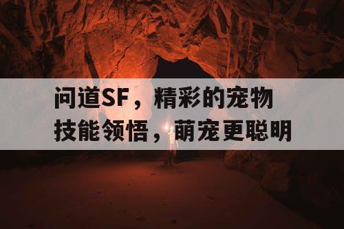 问道SF，精彩的宠物技能领悟，萌宠更聪明
