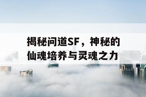揭秘问道SF，神秘的仙魂培养与灵魂之力