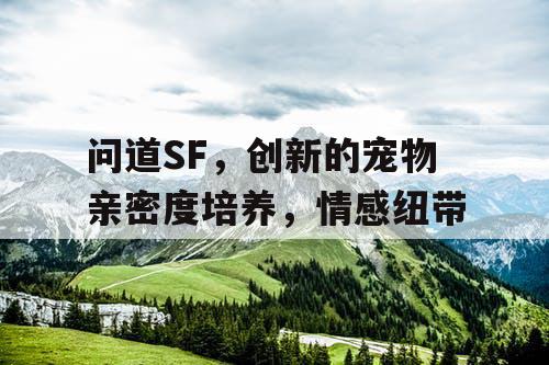 问道SF，创新的宠物亲密度培养，情感纽带