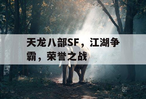 天龙八部SF，江湖争霸，荣誉之战