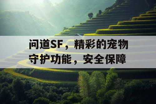 问道SF，精彩的宠物守护功能，安全保障