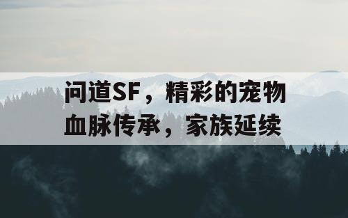 问道SF，精彩的宠物血脉传承，家族延续