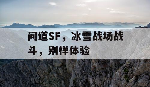 问道SF，冰雪战场战斗，别样体验