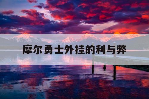 摩尔勇士外挂的利与弊