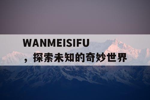 WANMEISIFU，探索未知的奇妙世界