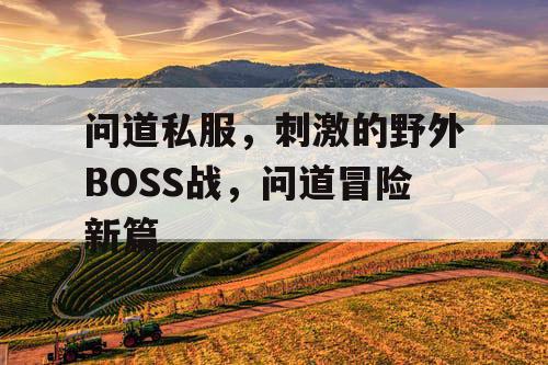 问道私服，刺激的野外BOSS战，问道冒险新篇