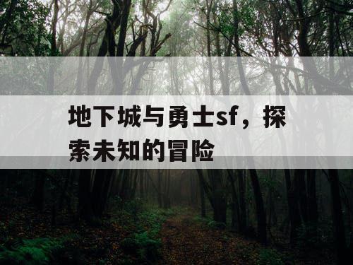 地下城与勇士sf，探索未知的冒险