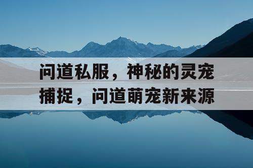 问道私服，神秘的灵宠捕捉，问道萌宠新来源