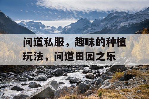 问道私服，趣味的种植玩法，问道田园之乐
