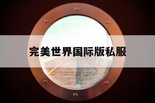 完美世界国际版私服