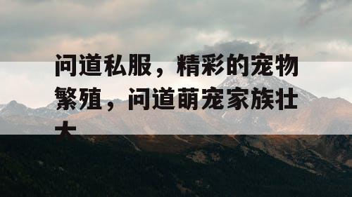 问道私服，精彩的宠物繁殖，问道萌宠家族壮大