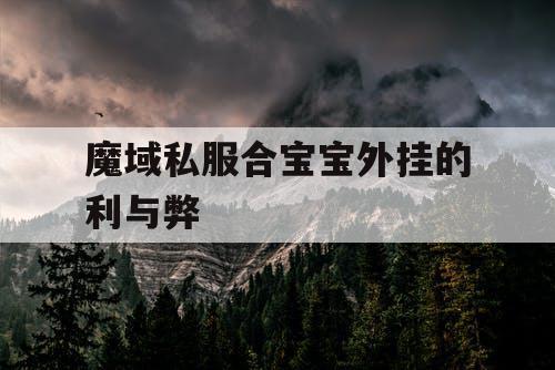 魔域私服合宝宝外挂的利与弊