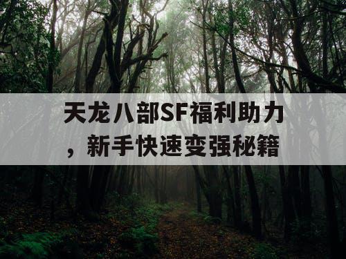 天龙八部SF福利助力,新手快速变强秘籍 天龙八部SF福利助力,新手快速变强秘籍