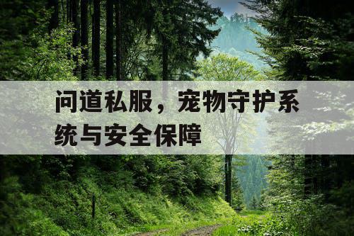 问道私服,宠物守护系统与安全保障 问道私服,宠物守护系统与安全保障