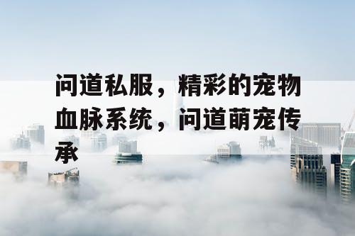 问道私服,精彩的宠物血脉系统,问道萌宠传承 问道私服,精彩的宠物血脉系统,问道萌宠传承