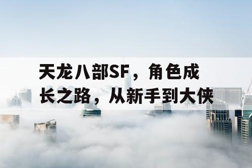 天龙八部SF，角色成长之路，从新手到大侠