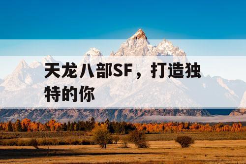 天龙八部SF，打造独特的你