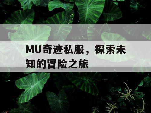 MU奇迹私服，探索未知的冒险之旅