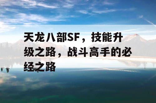 天龙八部SF，技能升级之路，战斗高手的必经之路