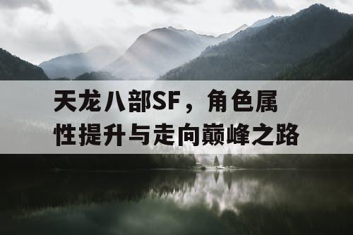 天龙八部SF，角色属性提升与走向巅峰之路