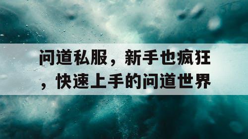 问道私服，新手也疯狂，快速上手的问道世界