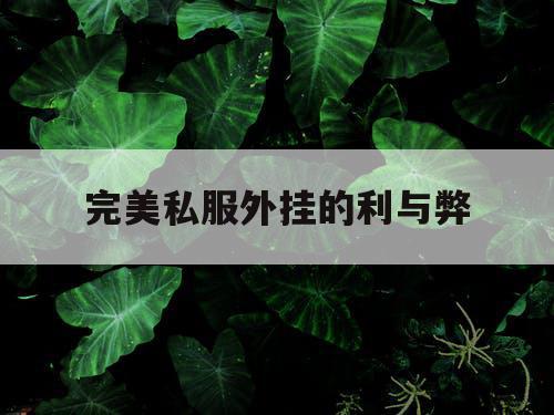 完美私服外挂的利与弊