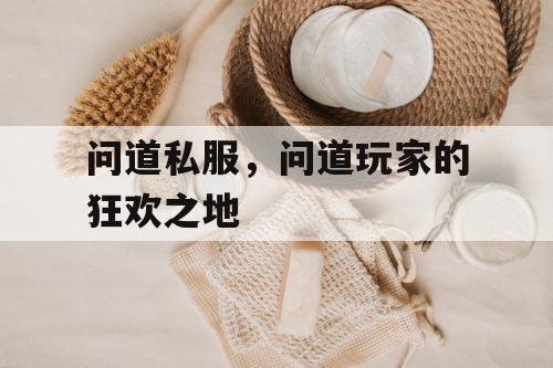 问道私服，问道玩家的狂欢之地